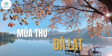 Mùa thu Đà Lạt: Lạc lối trong vẻ đẹp của thành phố ngàn hoa