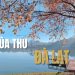 Mùa thu Đà Lạt: Lạc lối trong vẻ đẹp của thành phố ngàn hoa
