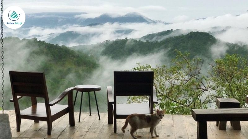 Ngắm cảnh triệu view tại Tiệm cà phê Cheo Veooo Đà Lạt