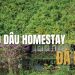Ngó Dâu Homestay – Góc Nhỏ An Yên Giữa Lòng Đà Lạt Thơ Mộng