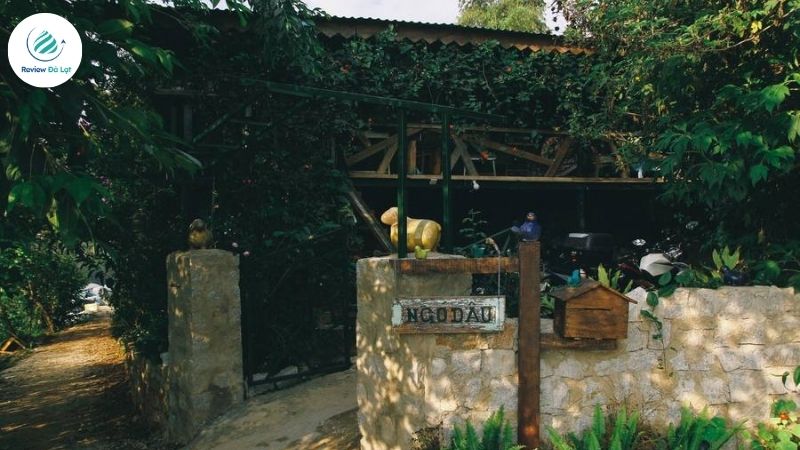 Thông tin chung về homestay Ngó Dâu