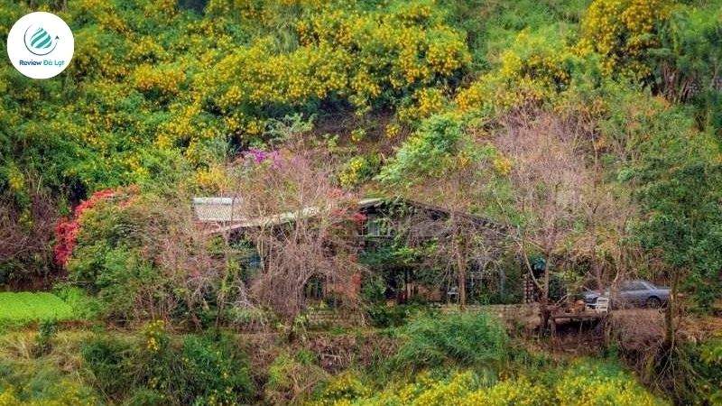 Hướng dẫn di chuyển đến Ngó Dâu