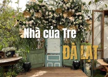 Nhà của Tre Đà Lạt - Không gian sống chậm giữa lòng thành phố mộng mơ