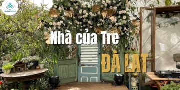 Nhà của Tre Đà Lạt - Không gian sống chậm giữa lòng thành phố mộng mơ