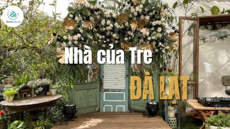 Nhà của Tre Đà Lạt - Không gian sống chậm giữa lòng thành phố mộng mơ