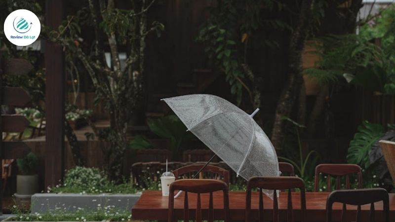 Những điều cần chú ý khi đến Tiệm cà phê Bình Minh Ơi