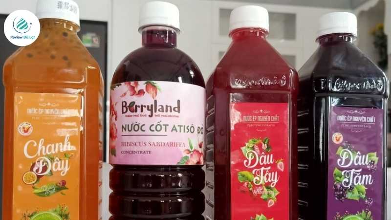 Một số loại nước cốt trái cây từ thương hiệu Ngọc Thảo