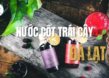 Top 3+ cửa hàng bán nước cốt trái cây Đà Lạt vị thanh mát
