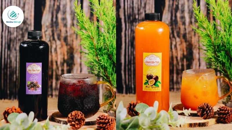 Trải nghiệm nước cốt trái cây tươi ngon từ thương hiệu Đặc sản Mai Quỳnh