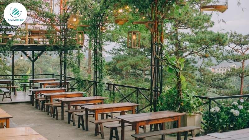 Không gian mở thoáng đãng, với tầm nhìn thung lũng thông xanh mướt