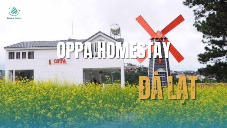 Oppa homestay Đà Lạt - Điểm lưu trú siêu hot giữa phố núi