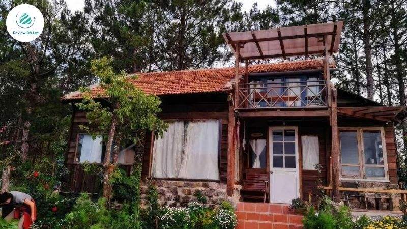 Pine Hill homestay Đà Lạt ở đâu?