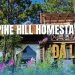 Review Pine Hill homestay Đà Lạt: Nơi trú ẩn đầy thơ giữa phố núi