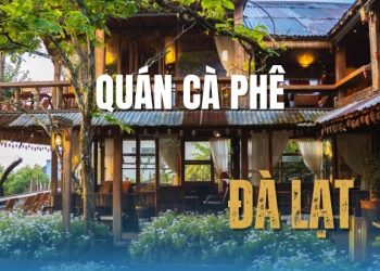 Top 11 Quán cà phê Đà Lạt view đẹp được yêu thích nhất