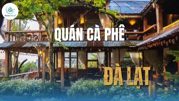 Top 11 Quán cà phê Đà Lạt view đẹp được yêu thích nhất