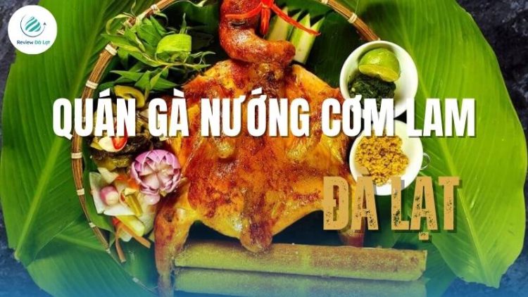 Đừng quên ghé qua quán gà nướng cơm lam Đà Lạt để thưởng thức món gà nướng đậm đà hương vị Tây Nguyên
