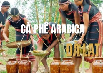 Top 4+ địa chỉ bán rượu cần Đà Lạt ngon, chất lượng