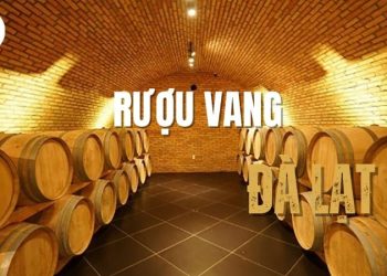 Top 4+ cơ sở kinh doanh rượu vang Đà Lạt chính gốc và giá tốt