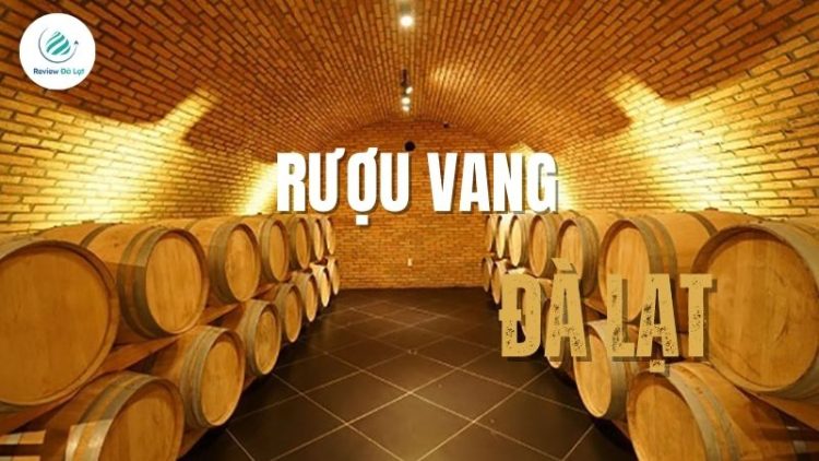 Top 4+ cơ sở kinh doanh rượu vang Đà Lạt chính gốc và giá tốt