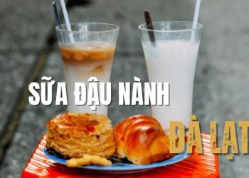 Tổng hợp các quán bán sữa đậu nành Đà Lạt ngon – bổ – rẻ