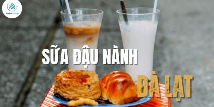 Tổng hợp các quán bán sữa đậu nành Đà Lạt ngon – bổ – rẻ
