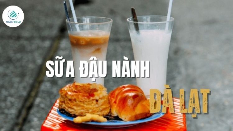 Tổng hợp các quán bán sữa đậu nành Đà Lạt ngon – bổ – rẻ