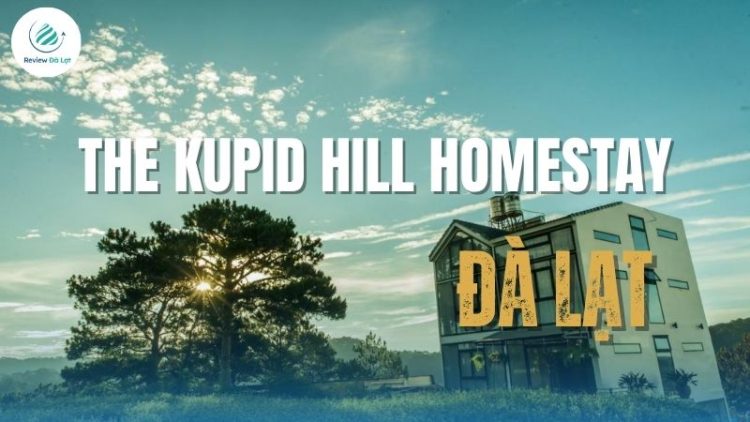 Review The Kupid Hill homestay Đà Lạt - Chốn trú ẩn mộng mơ