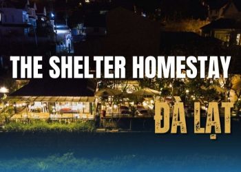 The Shelter homestay Đà Lạt - Nơi lưu trú view đồi núi cực đẹp