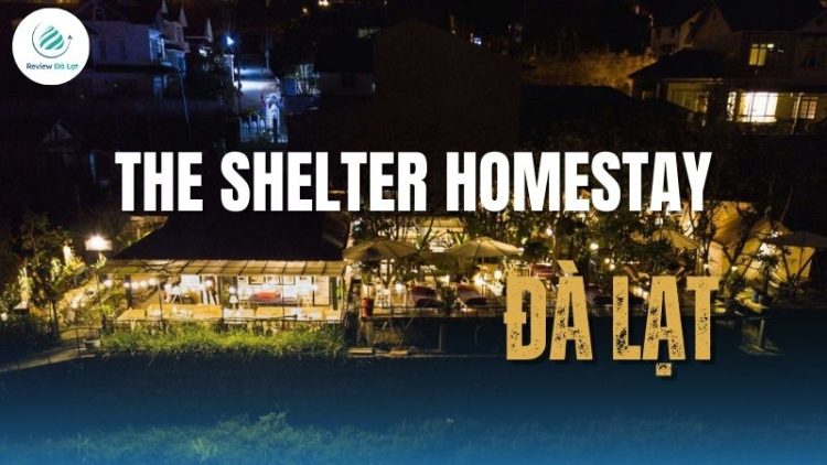 The Shelter homestay Đà Lạt - Nơi lưu trú view đồi núi cực đẹp