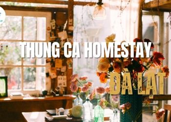 Tìm kiếm bình yên tại Thung Ca Homestay - Điểm dừng chân tuyệt vời tại Đà Lạt
