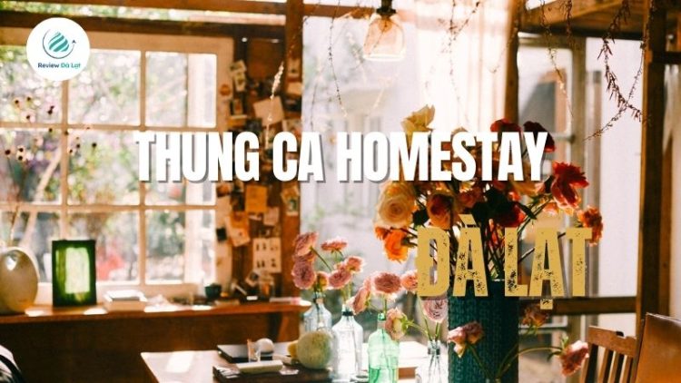 Tìm kiếm bình yên tại Thung Ca Homestay - Điểm dừng chân tuyệt vời tại Đà Lạt