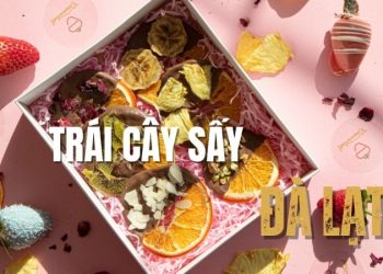 Top 15 loại trái cây sấy Đà Lạt ngon nhất để làm quà