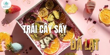 Top 15 loại trái cây sấy Đà Lạt ngon nhất để làm quà