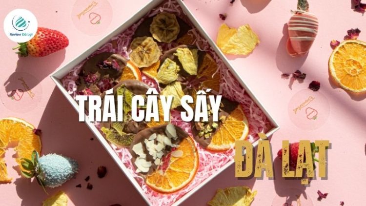 Top 15 loại trái cây sấy Đà Lạt ngon nhất để làm quà