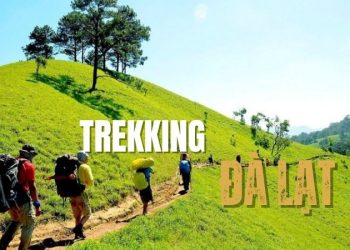 Trekking Đà Lạt - Hành trình chạm đến thiên nhiên hoang sơ