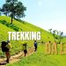 Trekking Đà Lạt - Hành trình chạm đến thiên nhiên hoang sơ