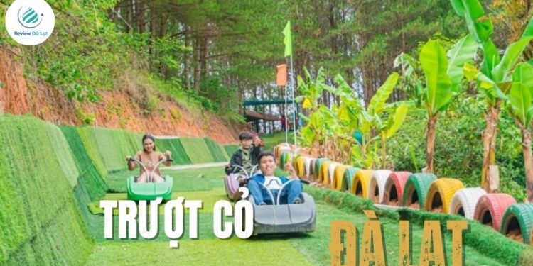 Khám phá trượt cỏ Đà Lạt: Giải trí với thử thách mới lạ