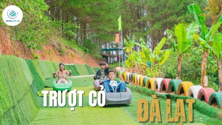 Khám phá trượt cỏ Đà Lạt: Giải trí với thử thách mới lạ