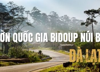 Vườn quốc gia Bidoup Núi Bà: Viên ngọc xanh giữa đại ngàn