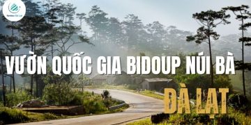 Vườn quốc gia Bidoup Núi Bà: Viên ngọc xanh giữa đại ngàn