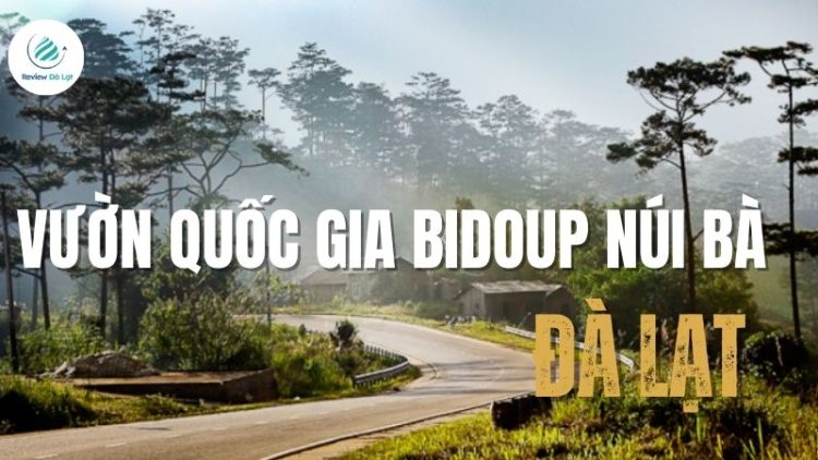 Vườn quốc gia Bidoup Núi Bà: Viên ngọc xanh giữa đại ngàn