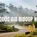 Vườn quốc gia Bidoup Núi Bà: Viên ngọc xanh giữa đại ngàn