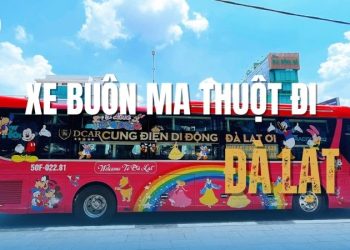 7 Nhà xe Buôn Ma Thuột đi Đà Lạt chất lượng cao, giờ linh hoạt