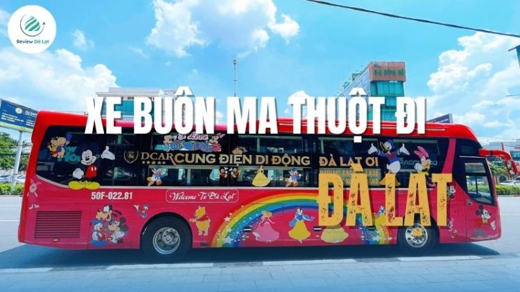 7 Nhà xe Buôn Ma Thuột đi Đà Lạt chất lượng cao, giờ linh hoạt