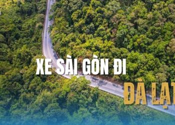 Xe Sài Gòn đi Đà Lạt: Top các nhà xe uy tín, dịch vụ tốt