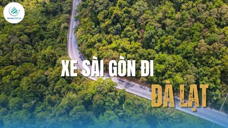 Xe Sài Gòn đi Đà Lạt: Top các nhà xe uy tín, dịch vụ tốt