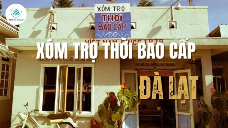 Review Xóm trọ thời bao cấp Homestay với không gian cực chill. Không gian sân vườn dễ thương, thích hợp để nghỉ dưỡng tại Đà Lạt.