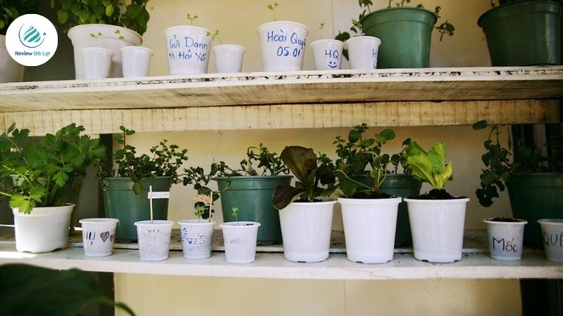 Vì sao bạn nên ghé thăm An Coffee Đà Lạt?