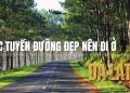 Gợi ý các tuyến đường đẹp nên đi ở Đà Lạt khiến bạn mê mẩn