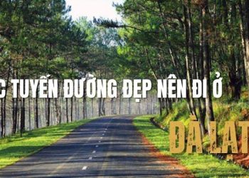 Gợi ý các tuyến đường đẹp nên đi ở Đà Lạt khiến bạn mê mẩn
